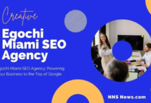 egochi miami seo agency